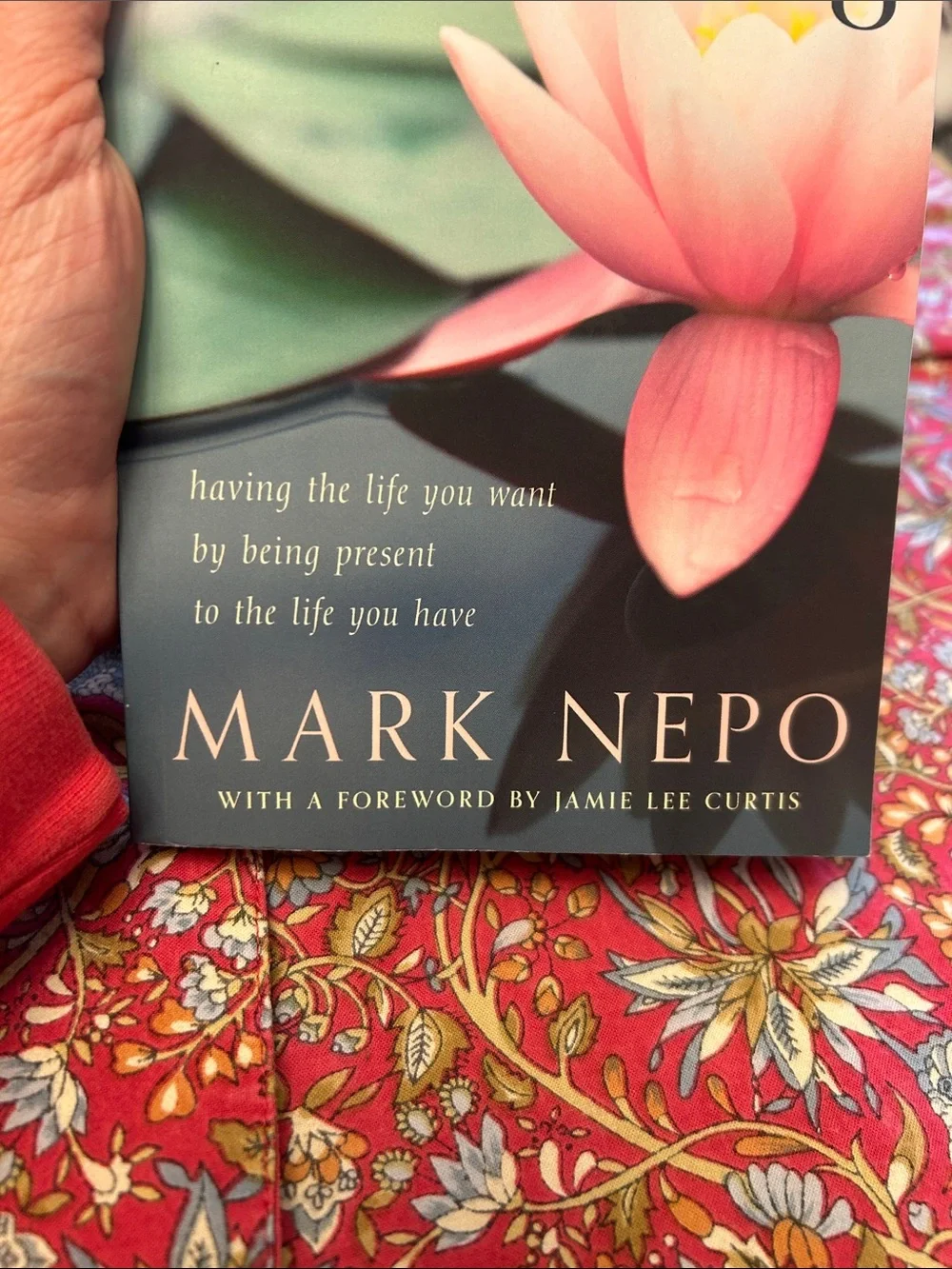 The book of awakening by Mark Nepo